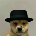 Buddy